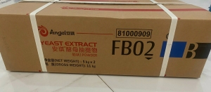 Chiết Xuất Nấm Men