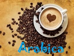 ARABICA POWDER FLAVOR